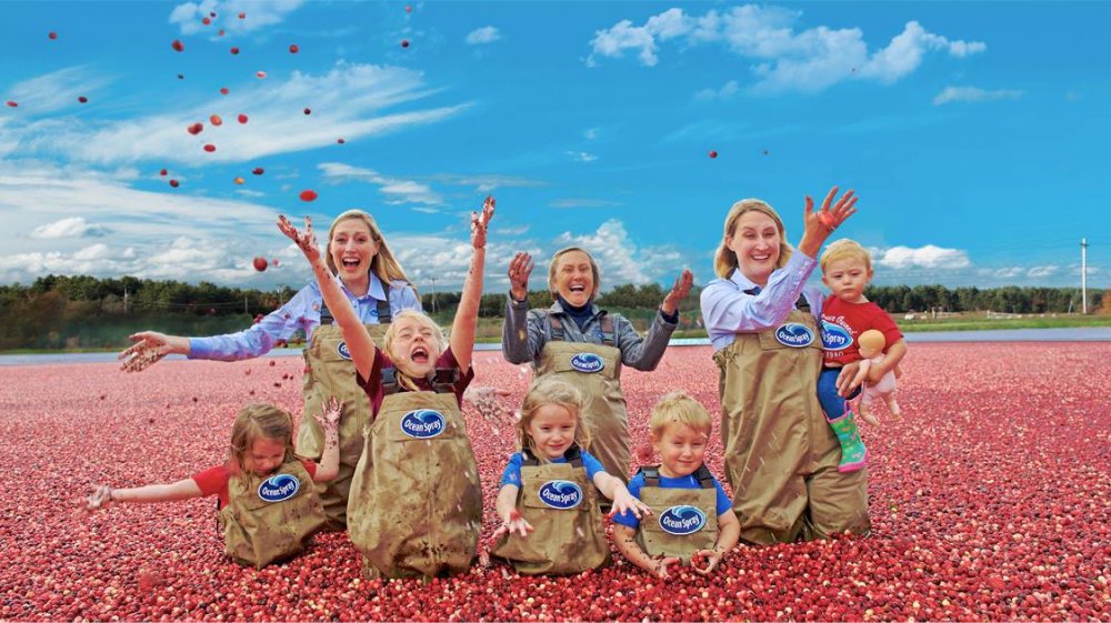 Ocean Spray farms owned by women