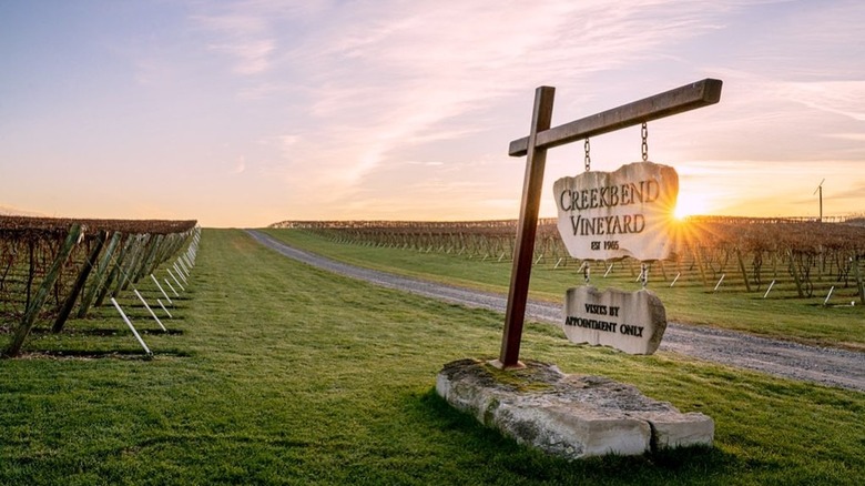 Sun setting at creekbend vineyard