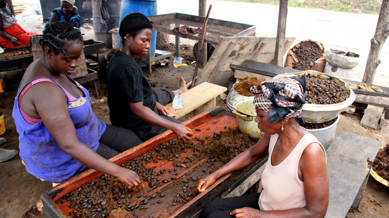 African women processing palm oil 