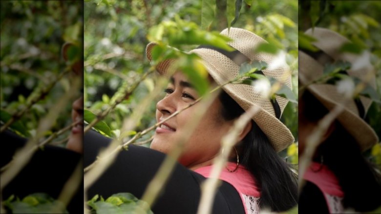 Peet's Coffee Farmer