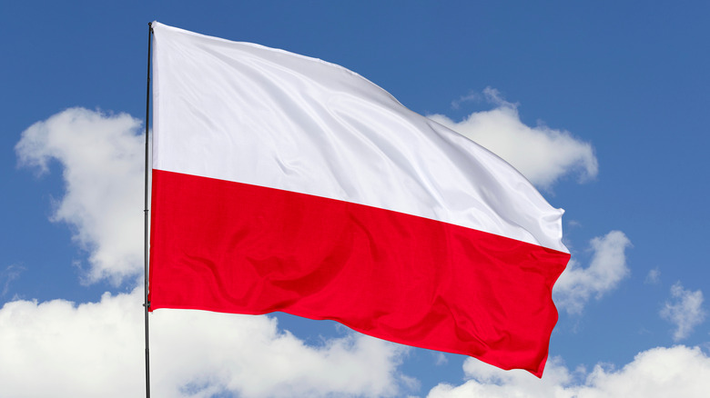 Polish flag waving in sky