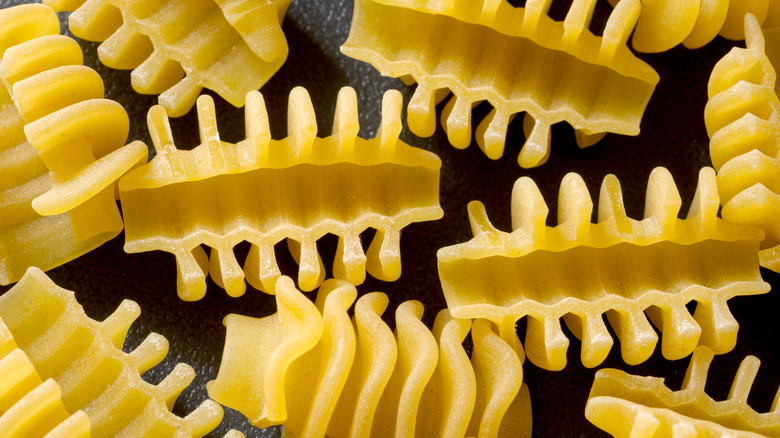 closeup of radiatori pasta