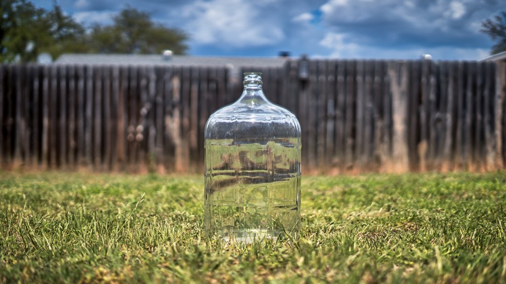 glass jug of raw water