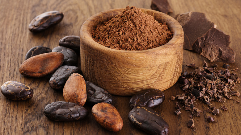 Cocoa beans powder in bowl