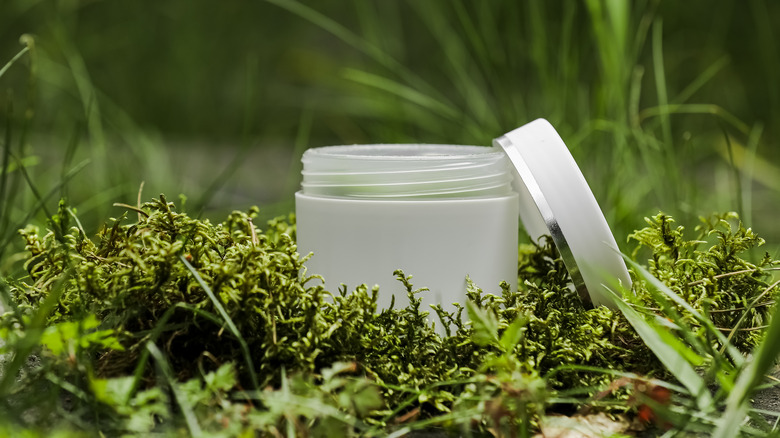 health beauty cream jar green foliage