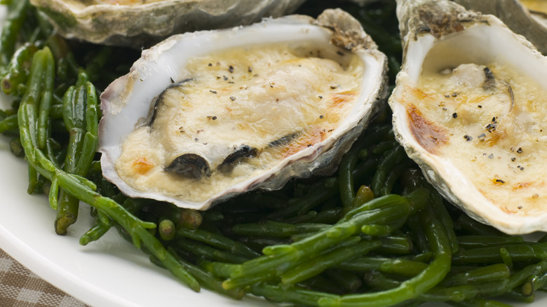 samphire scallops mornay shells 