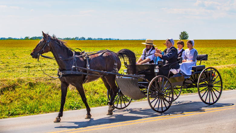 amish in horse drawn carriage