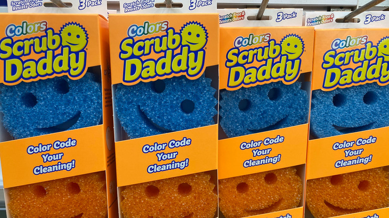 https://www.mashed.com/img/gallery/the-untold-truth-of-scrub-daddy/intro-1668017669.jpg
