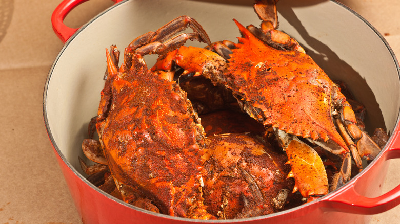 Steamed blue crab