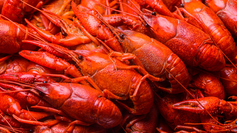 Bowl of boiled crawfish