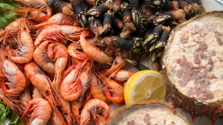 Boiled shrimp, crab, and gooseneck barnacles