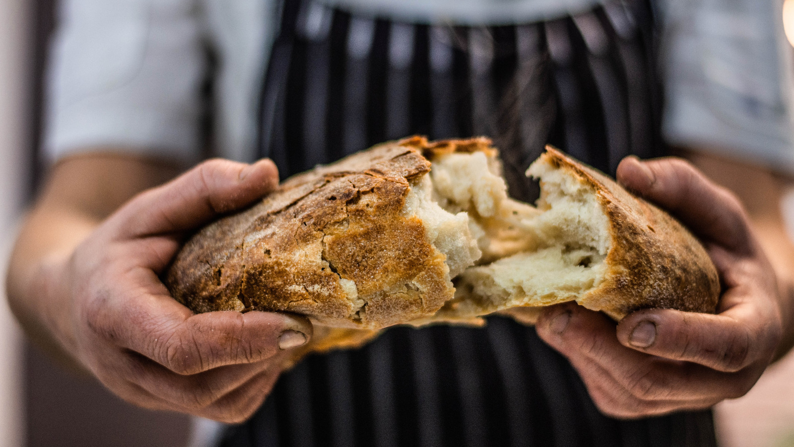 Adventures in sourdough bread – Part 1, The Starter – Arden's World