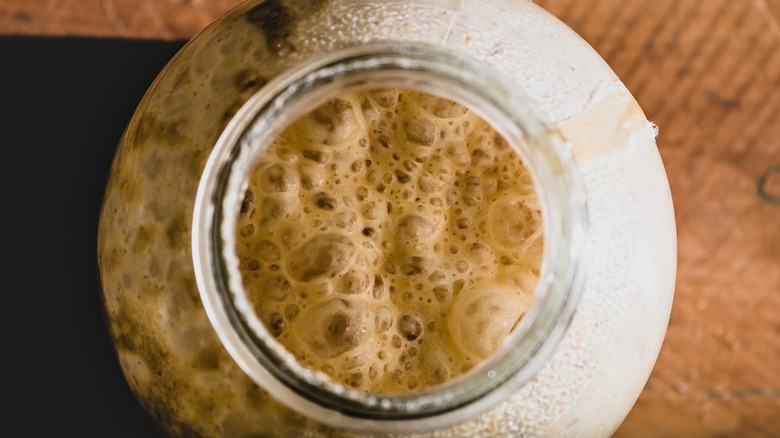 bubbling sourdough starter jar