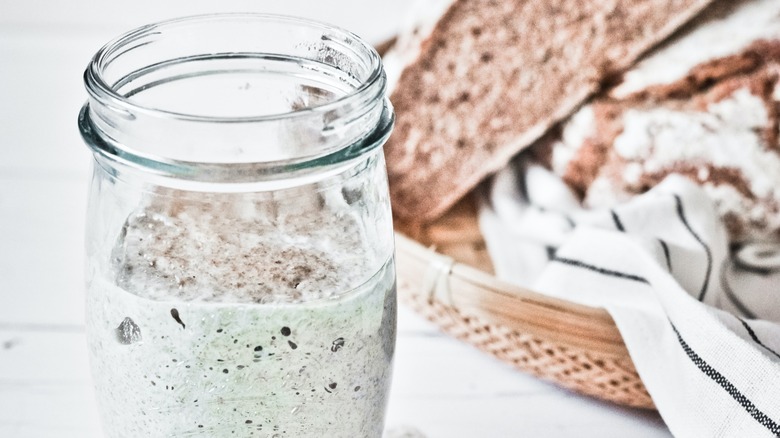 sourdough starter bread basket