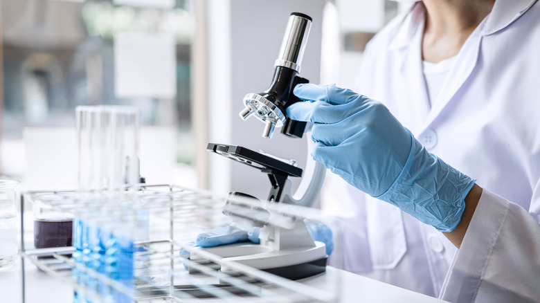 Scientist working with a microscope