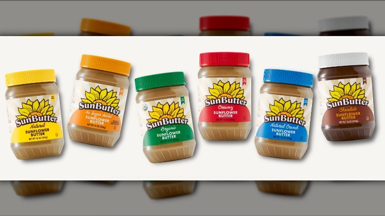 six jars of different SunButter varieties on a white background