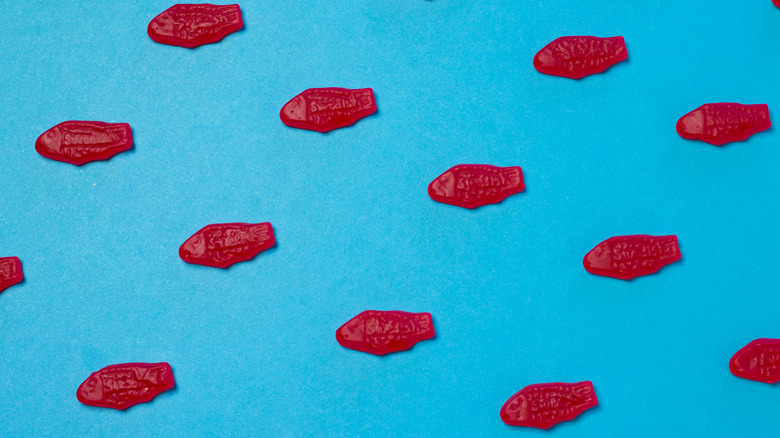 One Fish Two Fish Red Fish Blue Fish - Swedish Fish and blue gummy