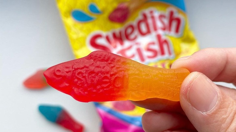 close up of hand holding bicolor Swedish fish candy with out of focus Swedish Fish Tails bag in background