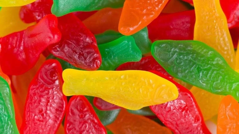 close up of pile of multicolored Swedish Fish candies