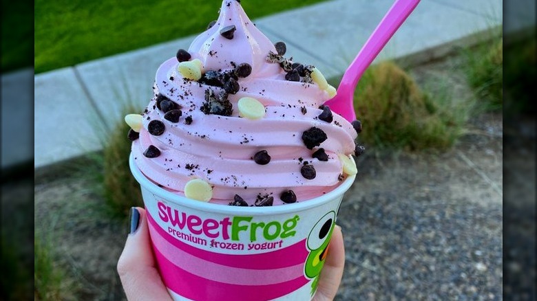 A serving of sweetFrog frozen yogurt