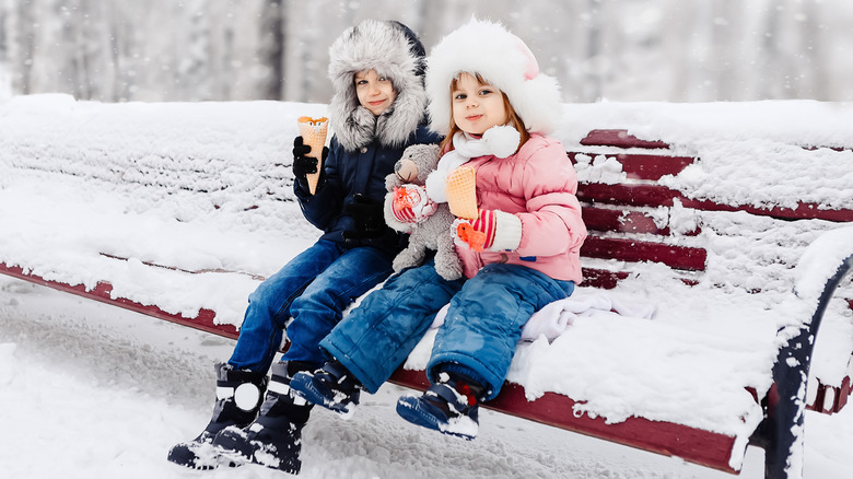 Alaska snow ice cream