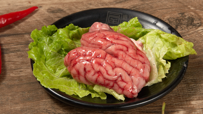 Pig brain on lettuce