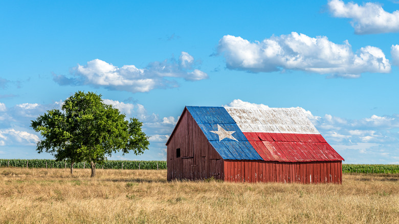 barn painted with texas flag