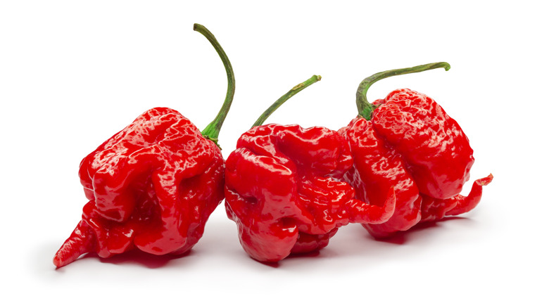 Three Carolina Reaper peppers