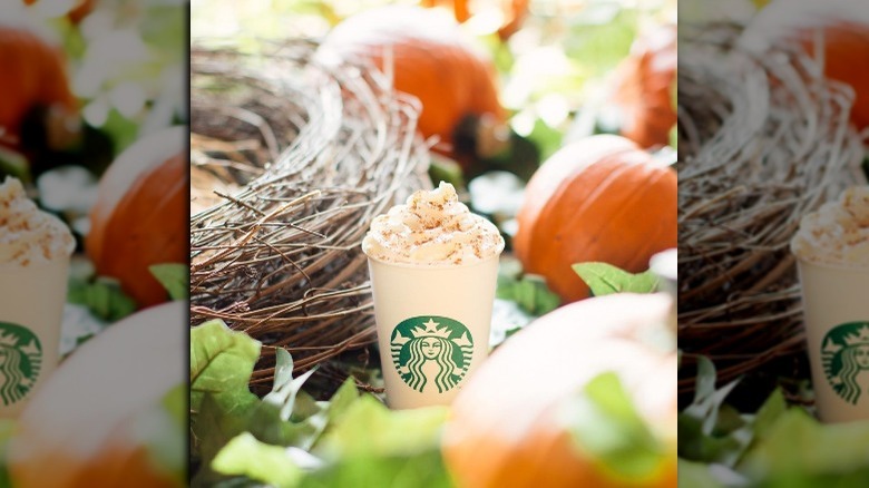 starbucks pumpkin spice latte