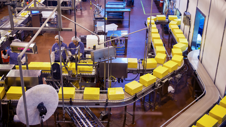 Tillamook County Creamery production line