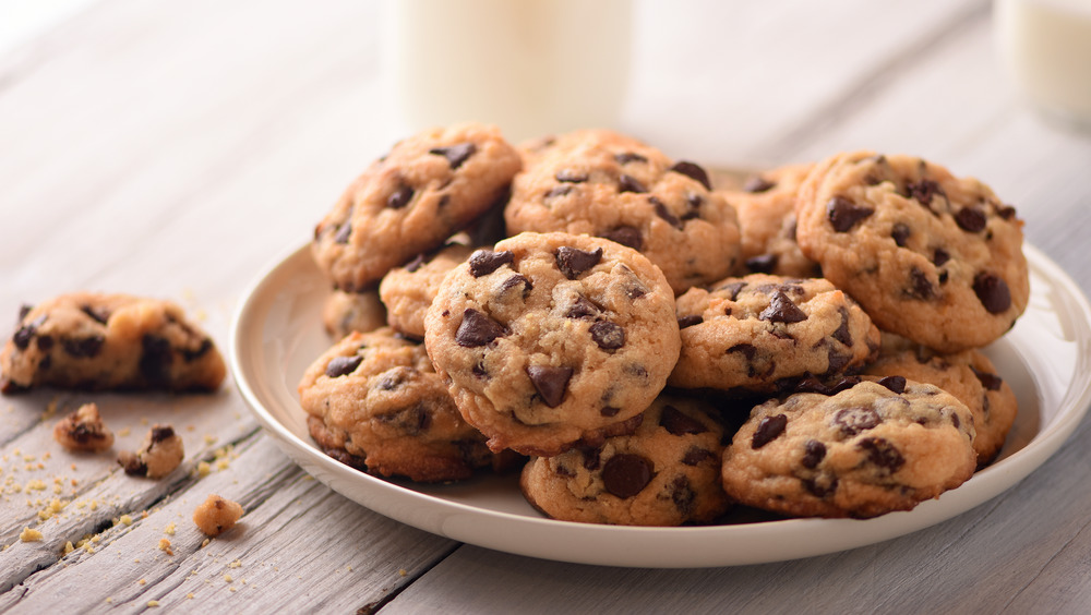 A plate of chocolate chip cookies