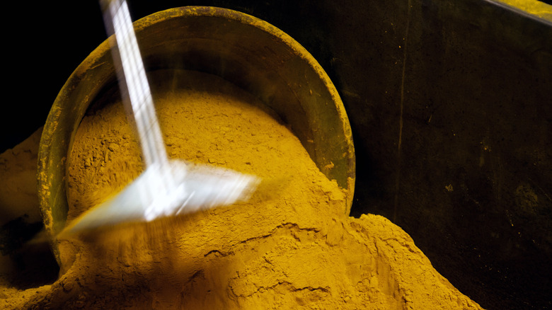 Scooping turmeric from large container