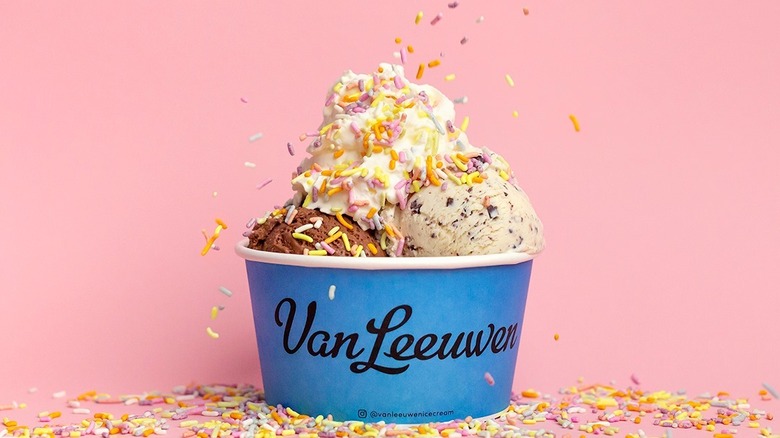 Van Leeuwen ice cream with sprinkles