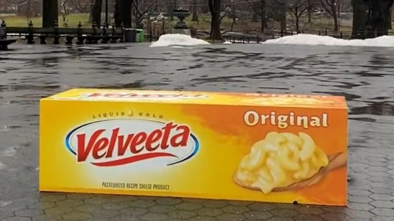 A large Velveeta block at New York's Central Park 