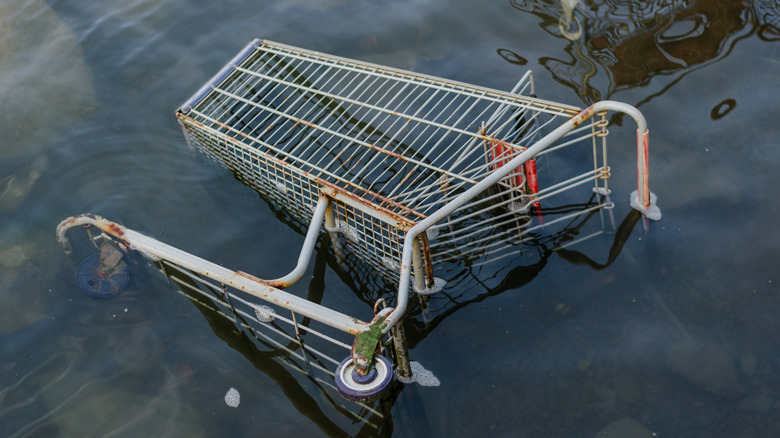 Shopping card in water