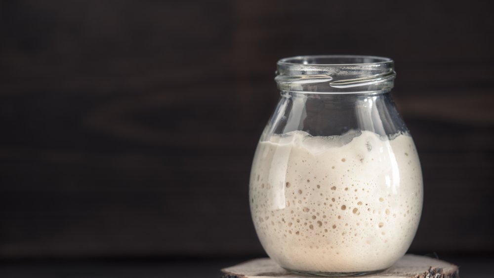 Sourdough starter for yeast