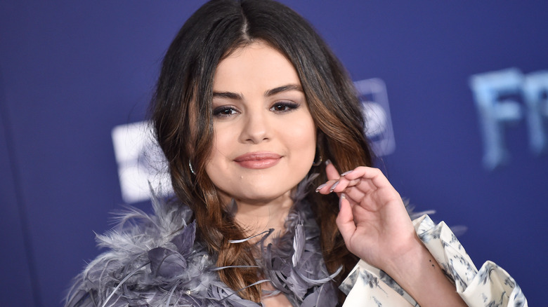Selena Gomez wears feathers and braided hair