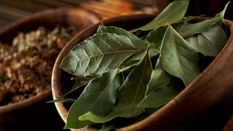 Dried bay leaves