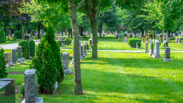 graveyard in the spring