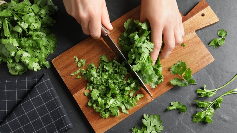 Chopping cilantro on wooden board