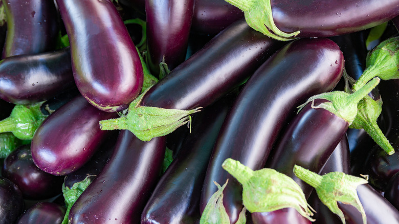 Italian eggplant bundle