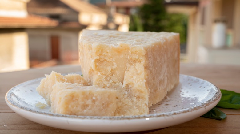 block of cheese on white plate