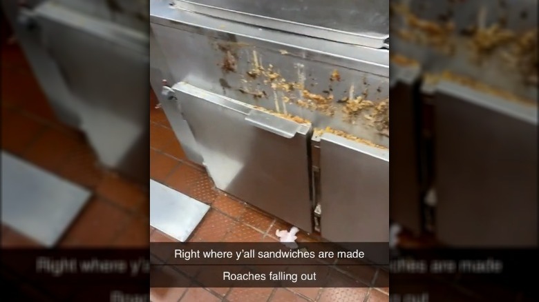 TikTok of cockroaches at Wendy's