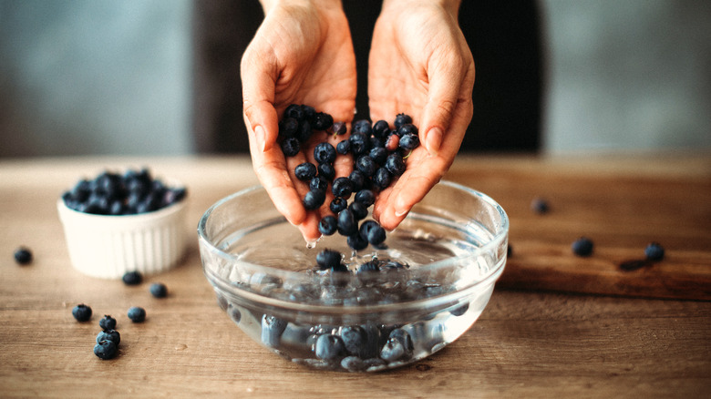 Woman adding blueberries to a bowl of water