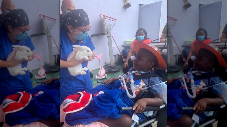 Antwain Fowler playing with rabbit in hospital