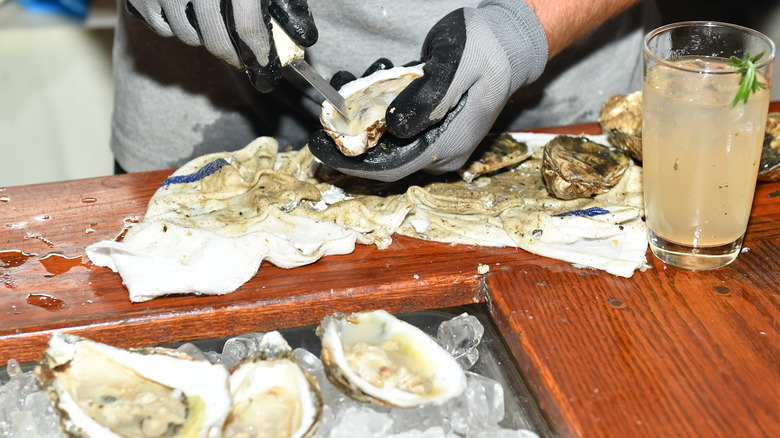 Person shucking oysters