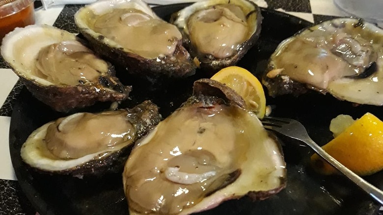 Raw oysters on a plate