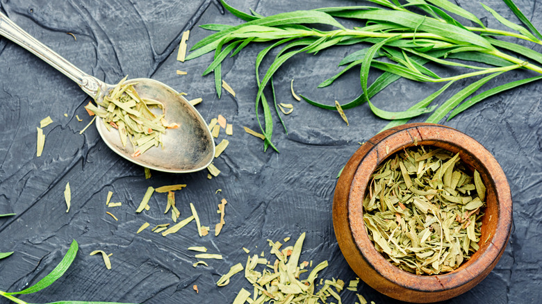 Tarragon fresh and dried on a gray background