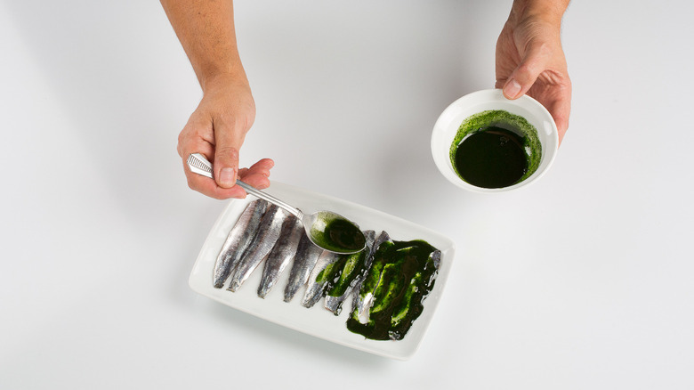 Chef using plankton sauce on fish