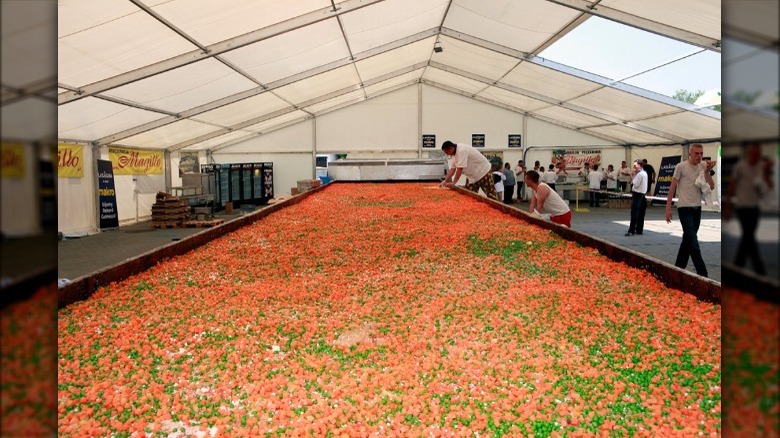 World's biggest lasagna